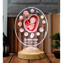 Sevgilambası Tüp Bebek Uzmanı Ivf Doktoru 3D LED Lamba, Embriyoloji ve Kadın Doğum Uzmanına Özel Hediye