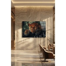 Macrodec Vahşi Asalet Leopar Portresi Cam Tablo - 4mm Temperli Kırılmaz Cam Duvar Dekoru