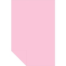 Alex Schoeller Fon Kartonu 160 Gram 35x50Cm 10 Pembe (100 Lü Paket)