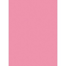 Yerli Sınar Fon Kartonu 50X70 Cm 120 Gr. Pembe 100 Lü (1 Paket 100 Adet)