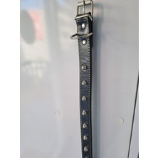 Eastland Marka Deri Boyun Tasması Aksesuarlı 50 cm Siyah