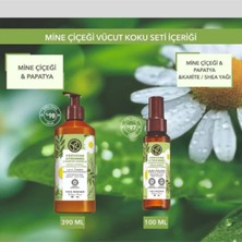 Yves Rocher Mine Çiçeği Papatya Kokulu Vücut Koku Seti Nemlendirici Losyon 100 ml Kadın Bakım