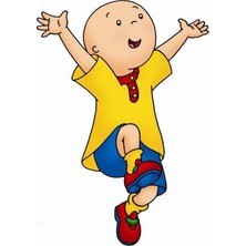 Alfa Caillou Lüks Ambalaj Kağıdı Laklı 60Cm X 200Cm (Defter Kabı) Asorti Tekli (1 Adet)