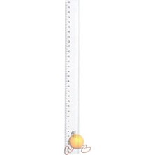 Hatas 30 cm Mercekli Plastik Cetvel / Ekonomik
