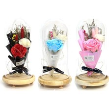 Elwes Fanus Gül 28/14CM Cam Fanus LED Işıklı Hediyelik