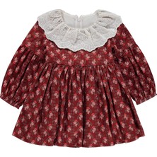 Obelia Dantel Yaka Kolları Lastikli 2-5 Yaş Elbise - Turuncu