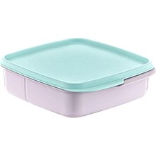 Die Grup Bölmeli Saklama Kabı ROYALEKS-AK540