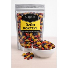 Selkur Üzüm Kokteyl 200GR(İZMİR-İRAN-KİLİS-ÖZBEK-GOJİ-ZEREŞK)