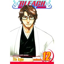 Mabeyn Bleach, Vol. 12: Flower On The Precipice