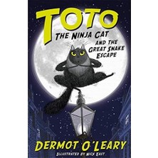 Mabeyn Toto The Ninja Cat And The Great Snake Escape: Book 1
