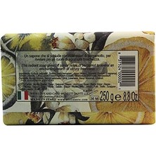Mabeyn Nesti Dante Il Frutteto Katı Sabun 250 gr (Citron & Bergamot)