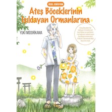 Mabeyn Ateş Böceklerinin Işıldayan Ormanlarına