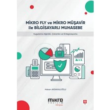 Mabeyn Mikro Fly ve Mikro Müşavir ile Bilgisayarlı Muhasebe
