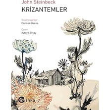 Mabeyn Krizantemler