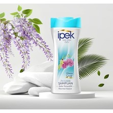 Mabeyn Ikisi Bir Arada Akasya Şampuan 480 ml