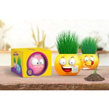 Mabeyn Emoji Temalı Çim Adam 6'lı Set – Çocuklar Için Eğitici ve Eğlenceli Bitki Yetiştirme Kiti
