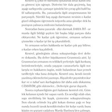 Mabeyn Ormanın Bittiği Yer
