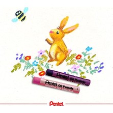 Mabeyn PHN-50U Yağlı Pastel Boya Seti 50'li, Çok Renkli