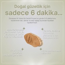 Mabeyn At Kılı Fırçası | 100% Doğal Kayın Ağacı ve At Yelesi Kıllarından El Yapımı Selülit Fırçası