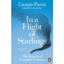 Mabeyn In A Flight Of Starlings: The Wonder Of Complex Systems
