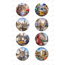 Mabeyn Cats In London - Londra'da Kediler - Tek Sayfa 8 Set
