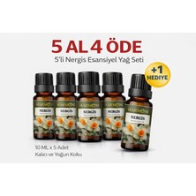 Harmoni Nergis Esansiyel Uçucu Koku 10ML Difüzör Esansı Buhurdanlık Yağı ve Oda Kokusu  5AL 4öde