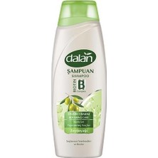 Mabeyn Onarıcı Bakım Şampuanı 450 ml