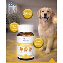 Petcura Immunocura Tablet Kedi Köpek (Bağışıklık Güçlendirici)