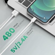 Mabeyn Lightning USB Girişli 3.0 Hızlı Şarj Aleti, Yüksek Hızda Şarj Eder. Güvenli Şarj Için Akım Korumalı, Telefonunuzu Tanır ve Maksimum Hızda Şarj Eder. Lightning Girişli Cihazlar Için Uyumlu
