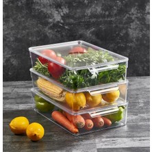 Mabeyn Deconox 1 Adet Kırılmaz Şefaf Akrilik Kapaklı Buzdolabı Organizeri | Buzdolabı Içi Düzenleyici | Sebze Meyve Saklama Kabı Organizeri (20CM x 32,5cm X7,5cm) Large Boy