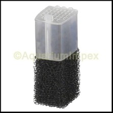 Mabeyn Haılea BTP-200