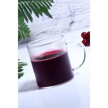 Mabeyn Rotanev Üfleme Cam Kulplu Kupa Bardak