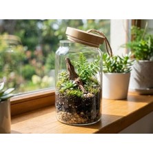 Mabeyn Bivium Bambu Kapaklı Hava Geçirmez Cam Kavanoz, Saklama Kabı, Makarna, Kuruyemiş, Bakliyat, Erzak Kavanozu (1 Adet, 1200 Ml)