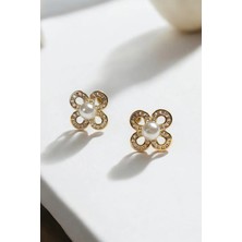 Luna Jewelry Kadın Gold Renk Daisy Model Inci Detay 316 L Çelik Küpe