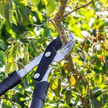 Mabeyn Yumuşak Saplı, Dişli ve Karbonlu Örs Budama Makası