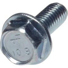 Mabeyn The Group 59711 M6-1.0 x 16 Altıgen Başlı Plaka Vidası, 15'li Paket