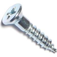 Mabeyn 014973293765 Phillips Düz Ahşap Vidalar, 30 x 2,5 Cm, 100 Parça