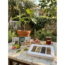 Kibarzade Incir Atom Cezerye - 125 gr