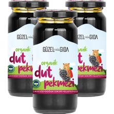 Güzel Ada Gıda Organik Dut Pekmezi 3x290 Gr (Soğuk Sıkım)