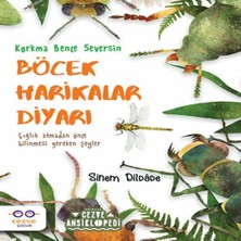Colezium Böcek Harikalar Diyarı