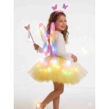 Beryka Renkli Kelebek Takımı