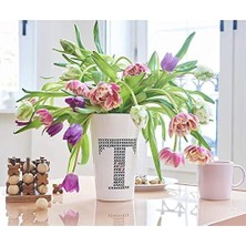 Enyaza Home 4200 Fırça Uçlu Porselen Kalemi - Siyah - 1 Kalem - Fırça Ucu 1-4 mm