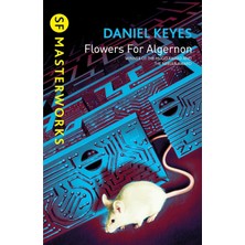 Enyaza Home Flowers For Algernon