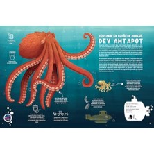 Enyaza Home Su Altı Atlası (Ciltli)