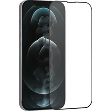 Enyaza Home 15 Pro Ile Uyumlu Rio Glass Cam Ekran Koruyucu