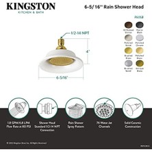 Enyaza Home Pirinç P60SN Tasarım Trimscape Ayçiçeği Duş Başlığı, Saten Nikel