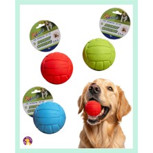 Pet Vogue Kauçuk Köpek Oyun Topu 6 cm – Sesli, Dayanıklı Oyuncak