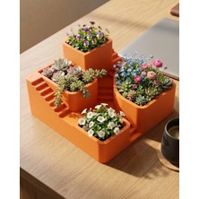 Senka 3D Baskı Çoklu Kaktüs ve Sukulent Saksı Seti Şık Tasarım Dekoratif Bitki Düzenleyici