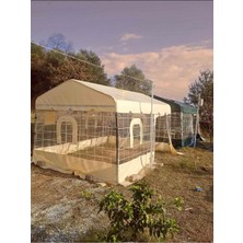 Özbience 3x4 M Galvanizli Demir Kış Bahçesi Iskeleti, Dayanıklı ve Güvenilir Tasarım