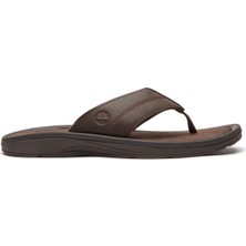 Timberland Timberland Originals Slıde Sandal Erkek Terlik TB0A2R4EEWI1